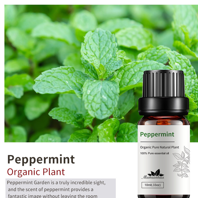Natural Aromatherapy Essential Oils