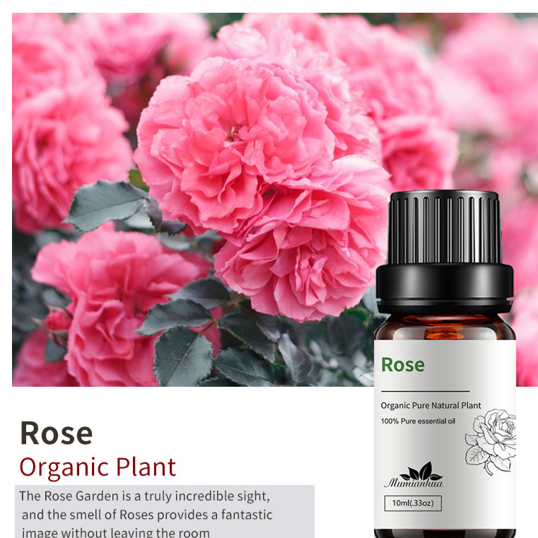 Natural Aromatherapy Essential Oils