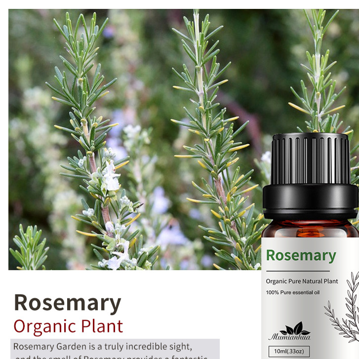 Natural Aromatherapy Essential Oils