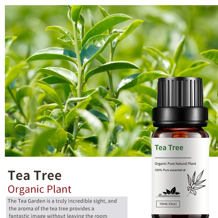 Natural Aromatherapy Essential Oils