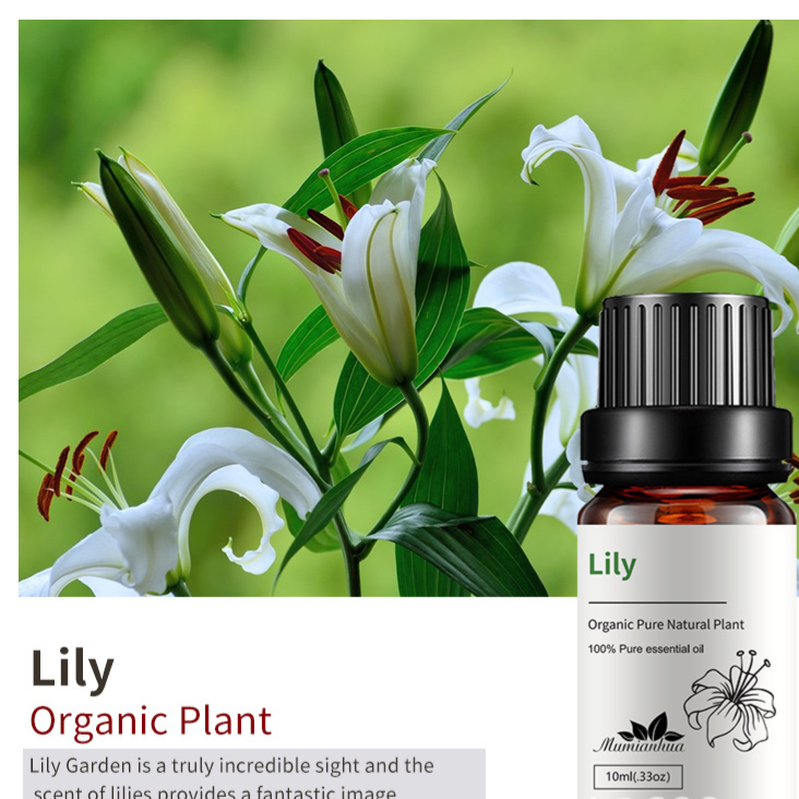 Natural Aromatherapy Essential Oils