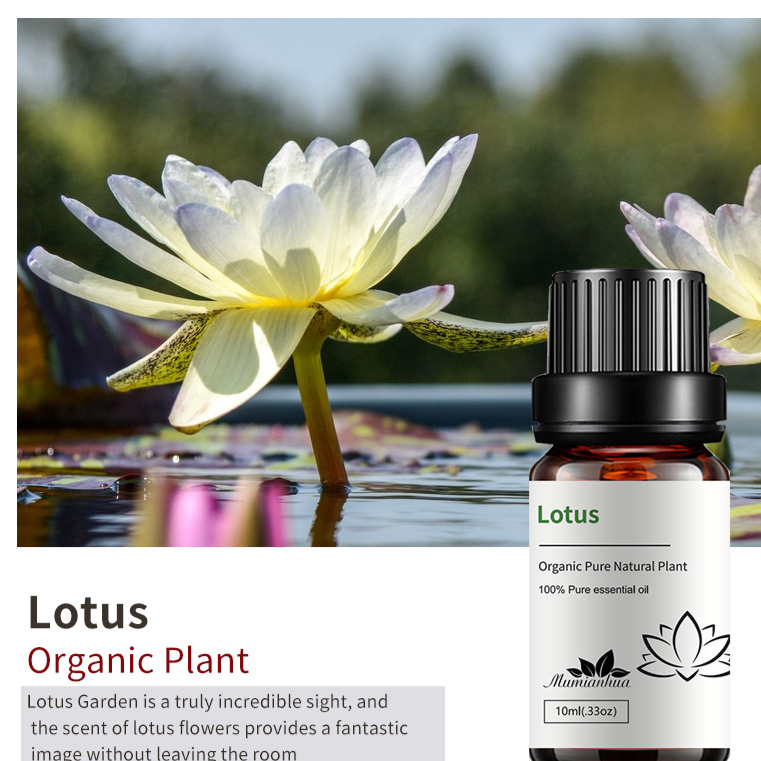 Natural Aromatherapy Essential Oils