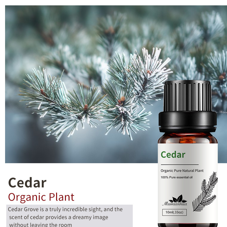 Natural Aromatherapy Essential Oils