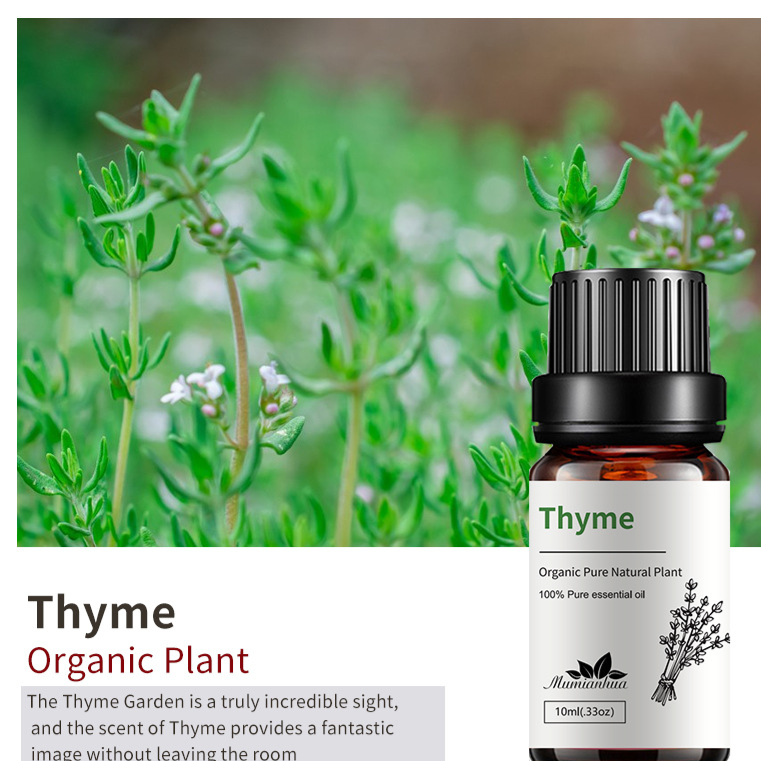 Natural Aromatherapy Essential Oils
