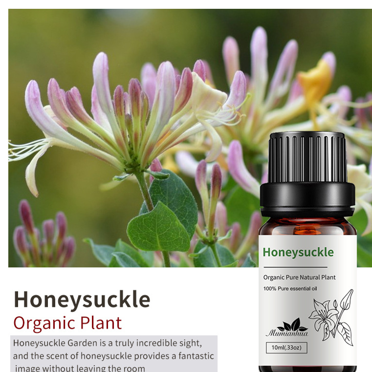 Natural Aromatherapy Essential Oils