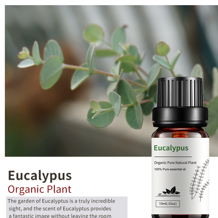 Natural Aromatherapy Essential Oils