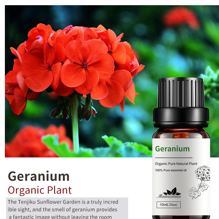Natural Aromatherapy Essential Oils