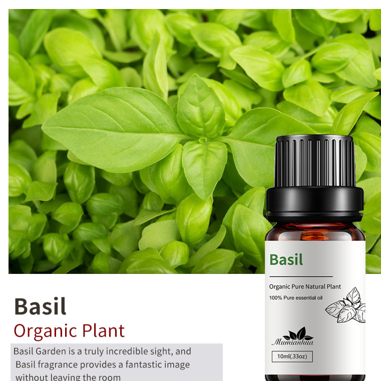 Natural Aromatherapy Essential Oils