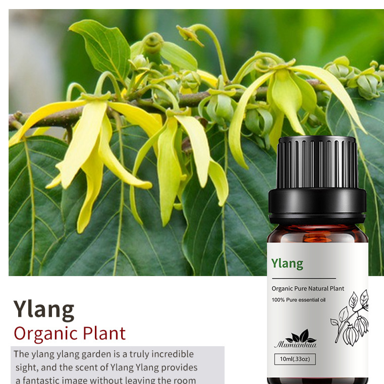 Natural Aromatherapy Essential Oils