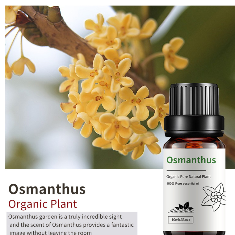 Natural Aromatherapy Essential Oils